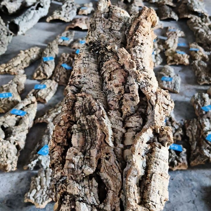 完全开放顺顺利利，平平安安