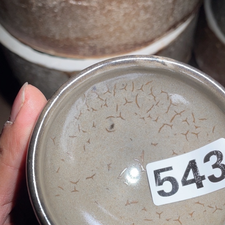 茶盏茶香的口感543万股中