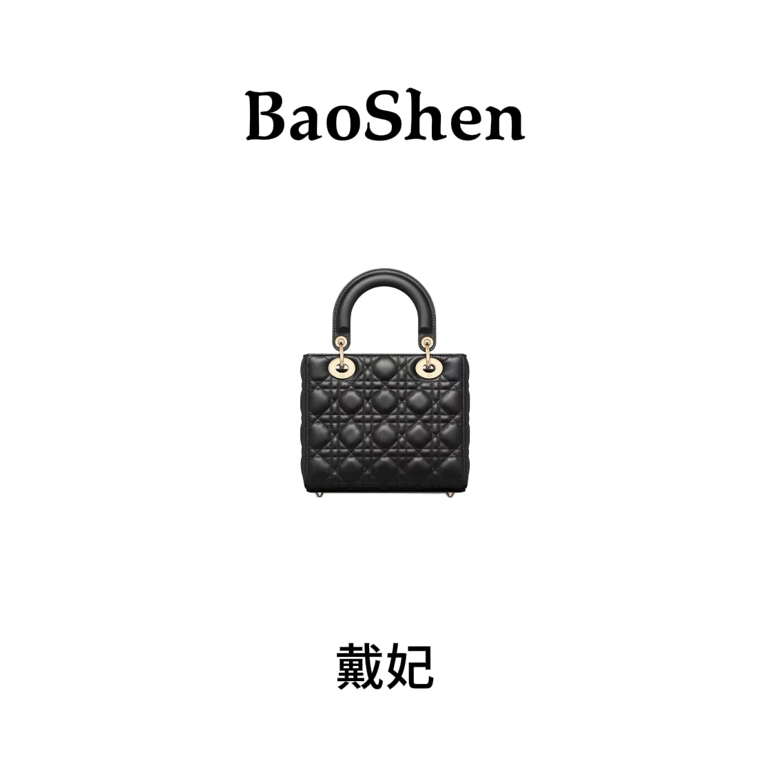 【 E230】戴妃包-新款大容量女包多功能斜挎包百搭单肩包