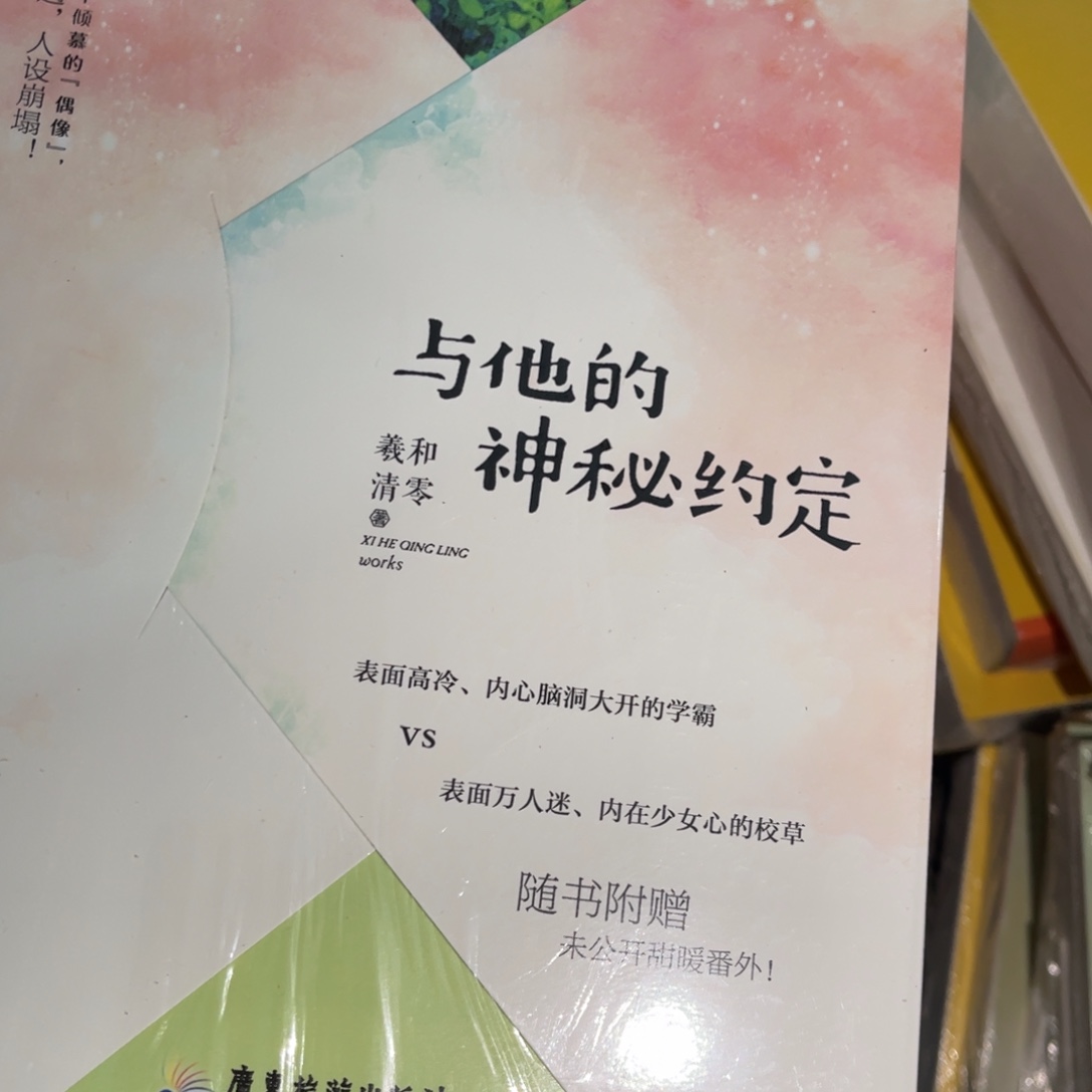 与他的神秘约定简装