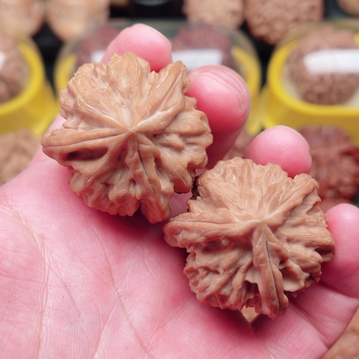 文玩核桃把件曹大龙狮子头三棱39×39×38