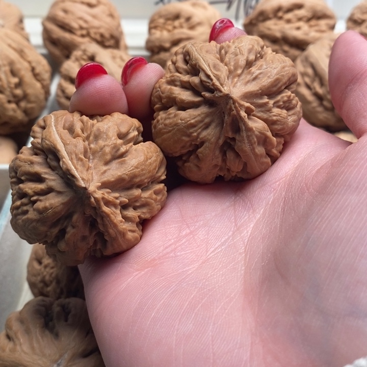 ？***包霸王龙全品无修一刀没动