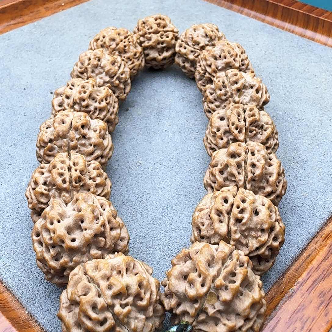 金刚菩提手串粗筋蜂窝双龙