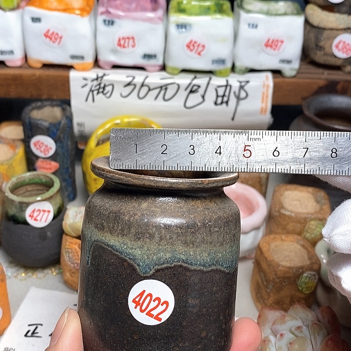 红陶拍5送一个小