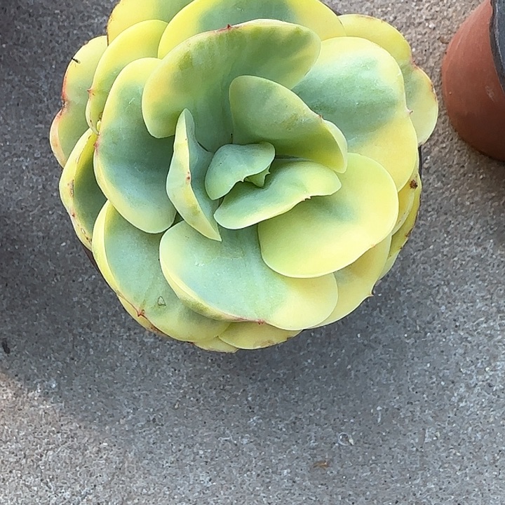 二****2青蛙王子儿童牙膏牙刷111