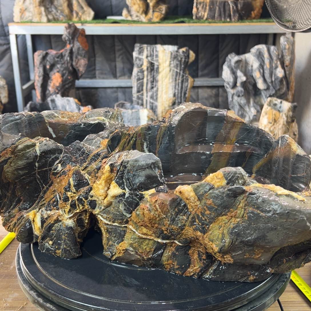 刘*好看的花盆鱼缸