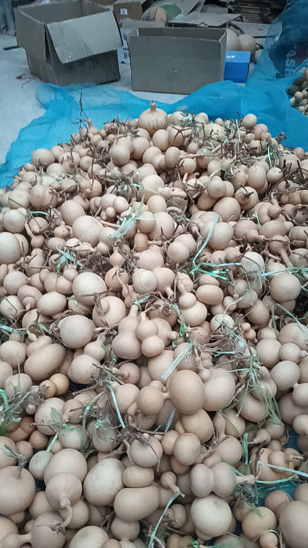 工艺葫芦直播拍品，禁止乱拍