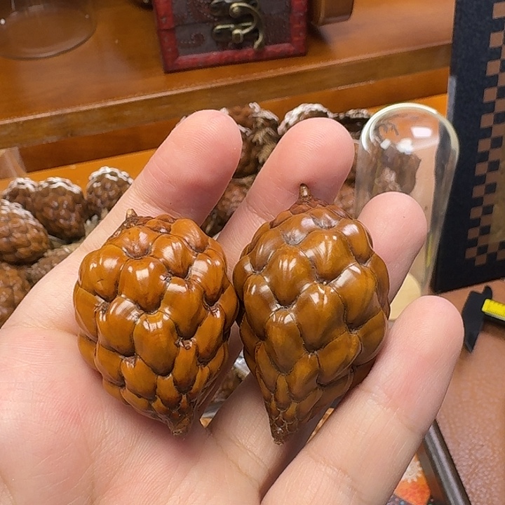 丁***丁木丁丁哥专属链接