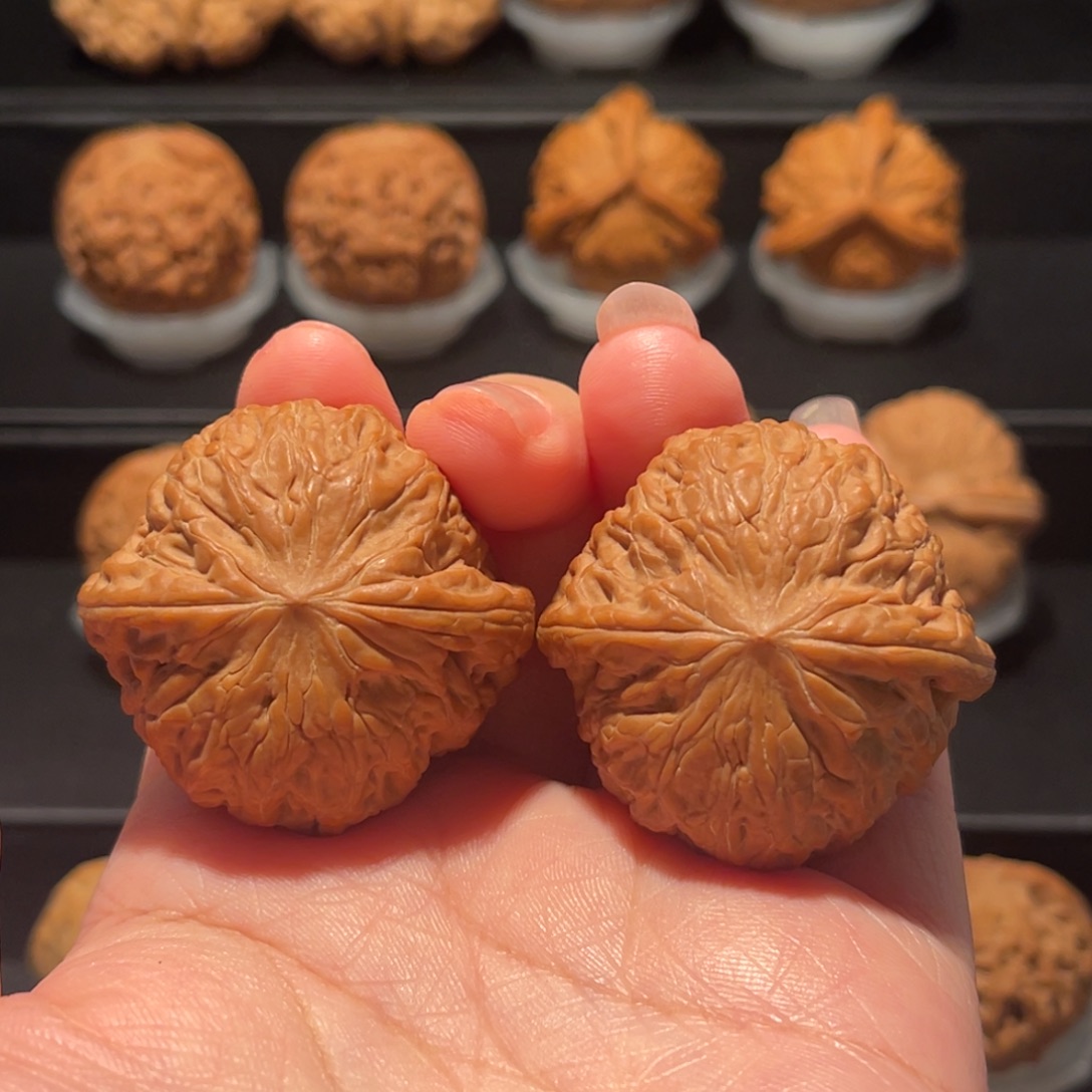 全品，精品，40铁锤250