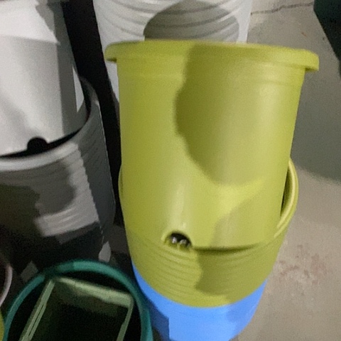 树脂四季5号果绿无托6个微瑕