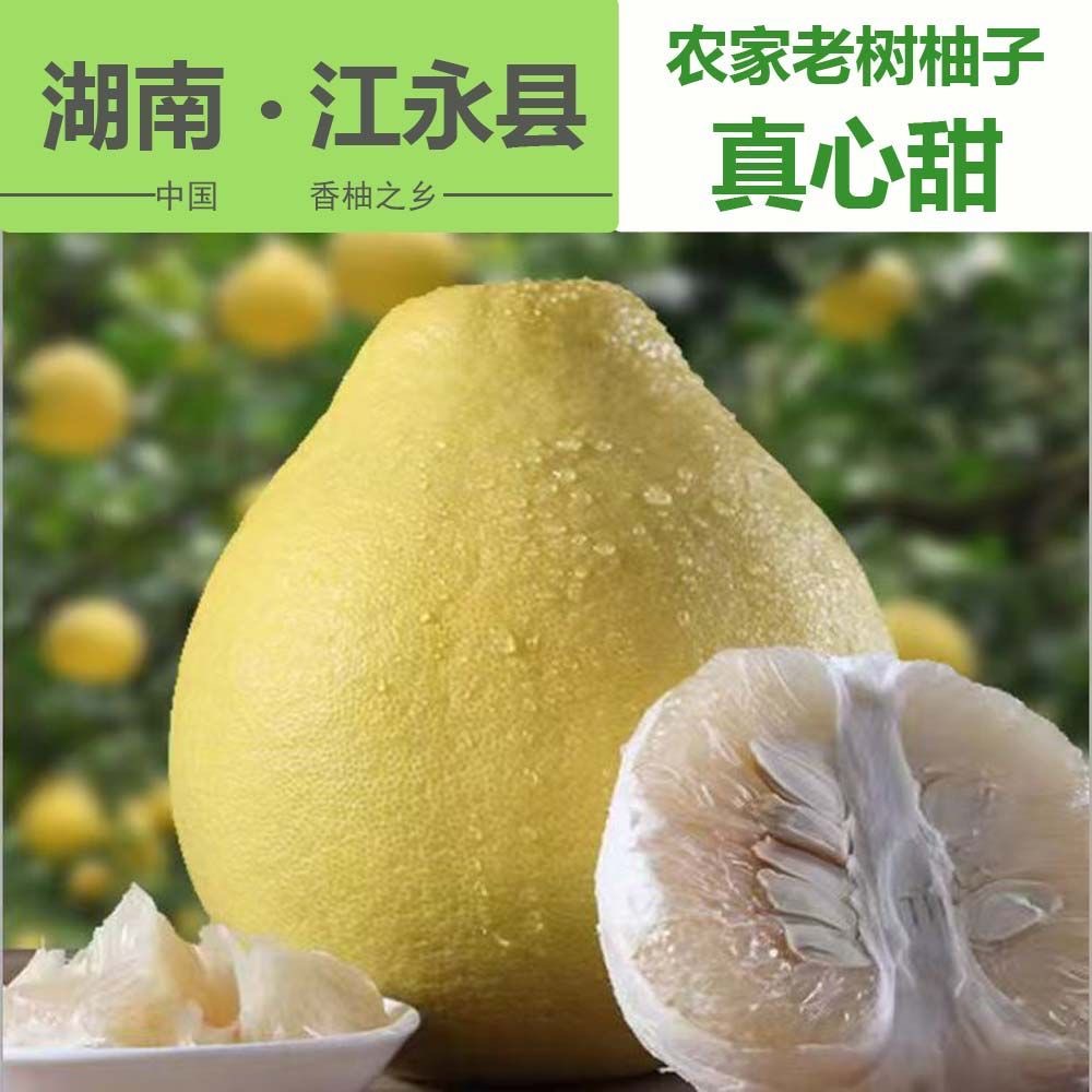 正宗湖南江永老树香柚新鲜纯甜白心当季沙田柚薄皮花皮果大果