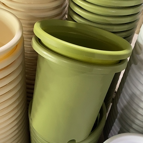 树脂微瑕7号6个无拖果绿