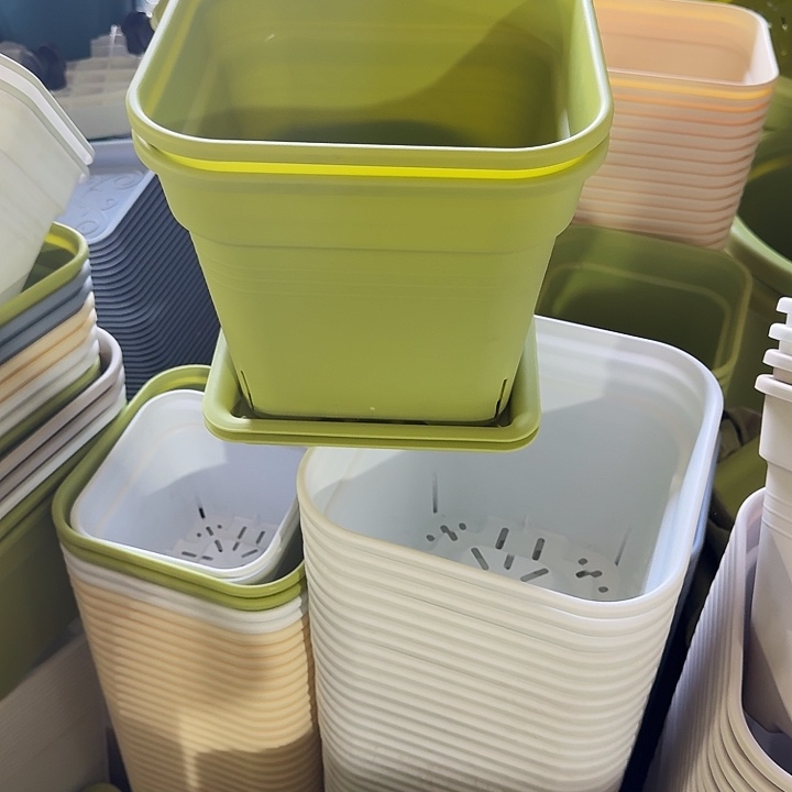 方25口径5个带托果绿新款