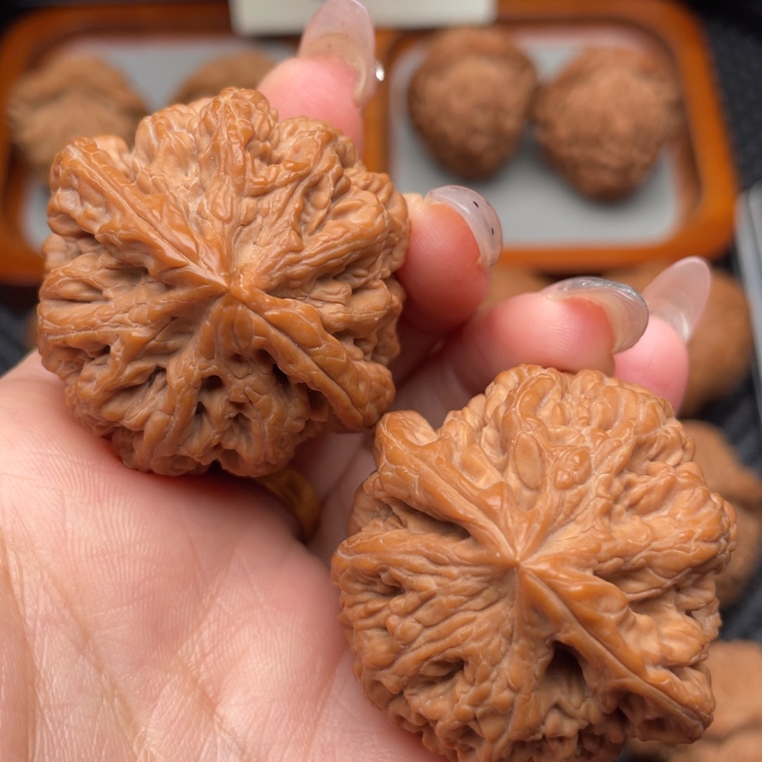 文玩核桃把件大粗筋
