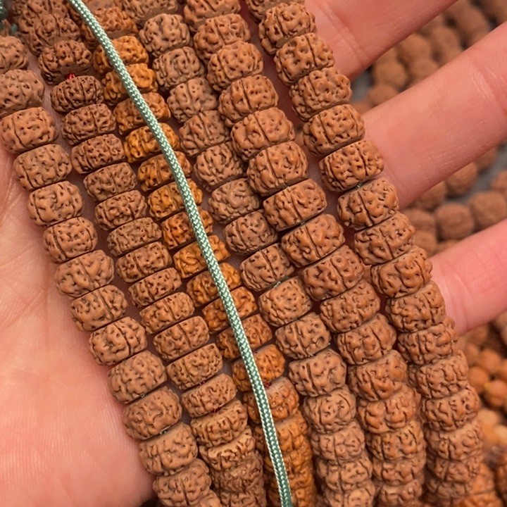 菩提藏切一代盘龙