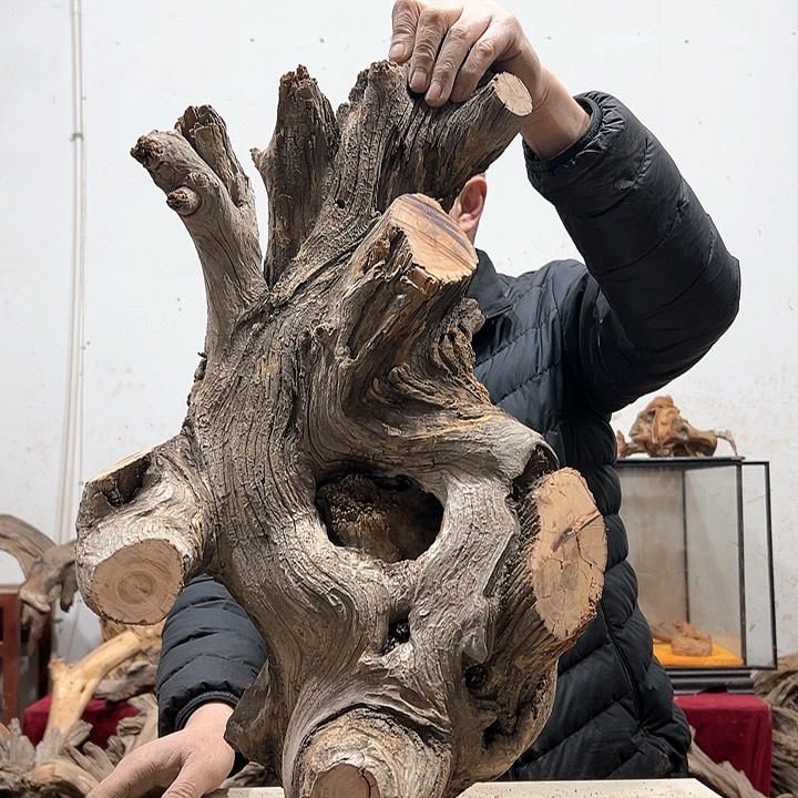 柏木德**林我们都是好孩子呀我