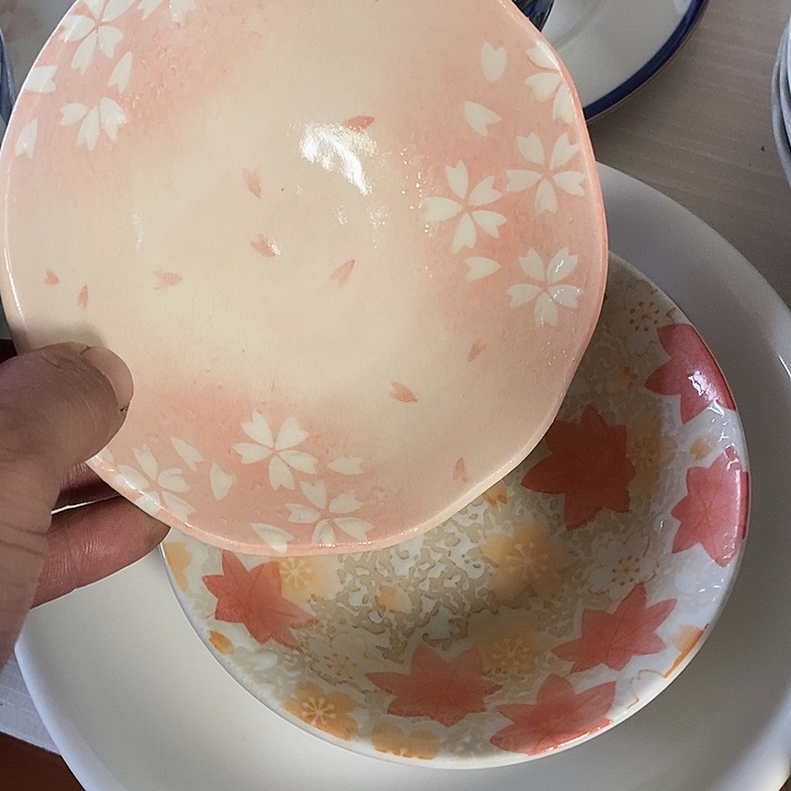 瓷片那**花谢谢您的支持