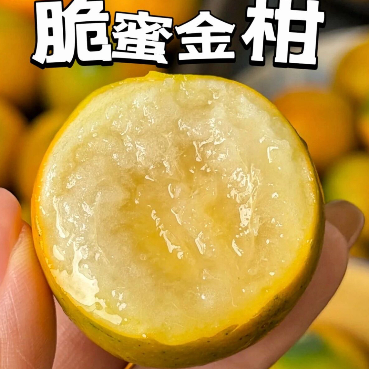 甜心脆蜜金柑500克一盒广西壮族自治区