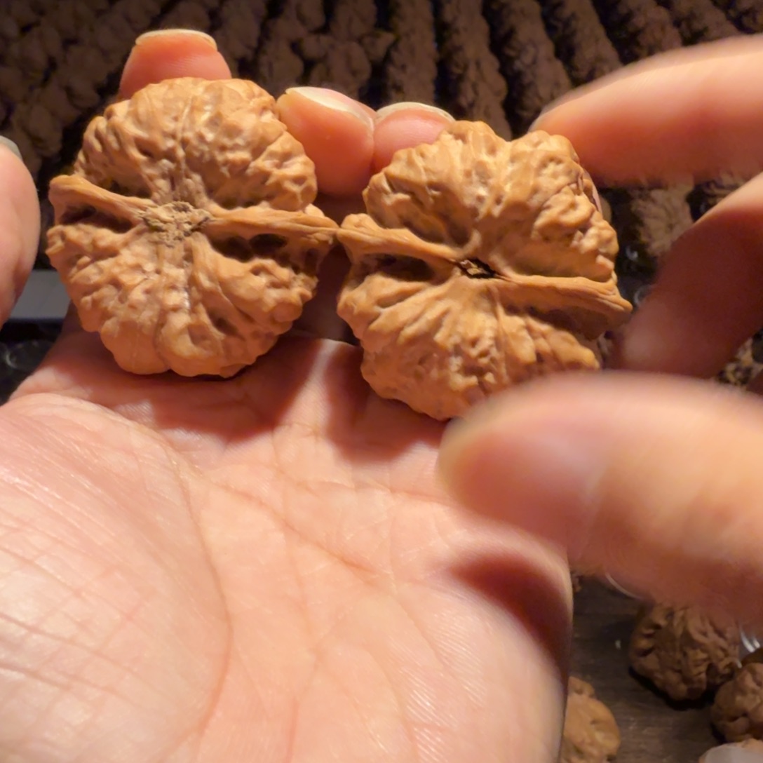 人***人把件文玩核桃蛤蟆的眼睛是真的好看啊