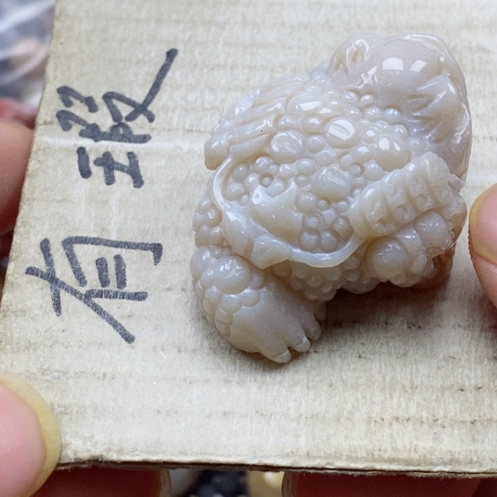 硅化珊瑚（珊瑚玉）颈饰未镶嵌