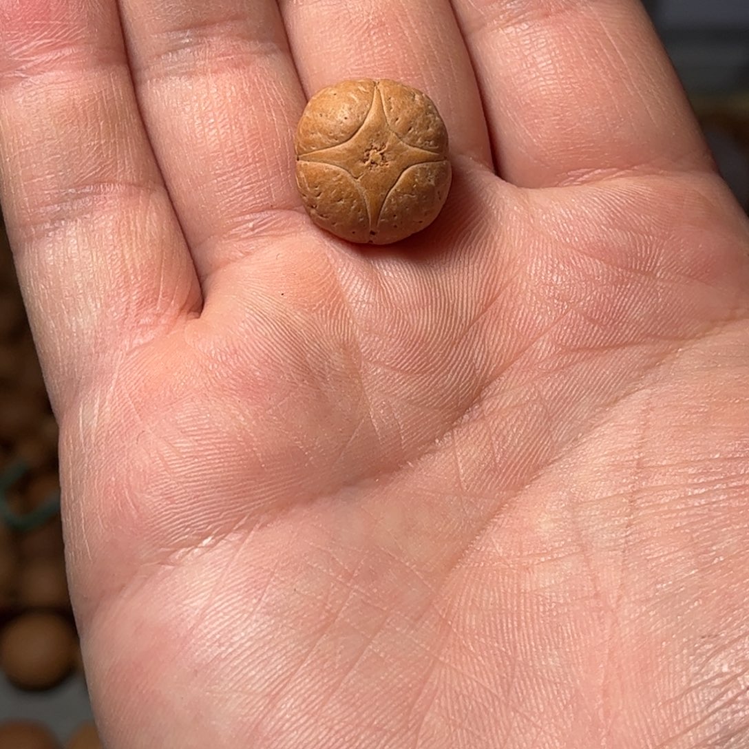 桃核吊坠17.4mm麒麟眼，开孔不退，偏远不包