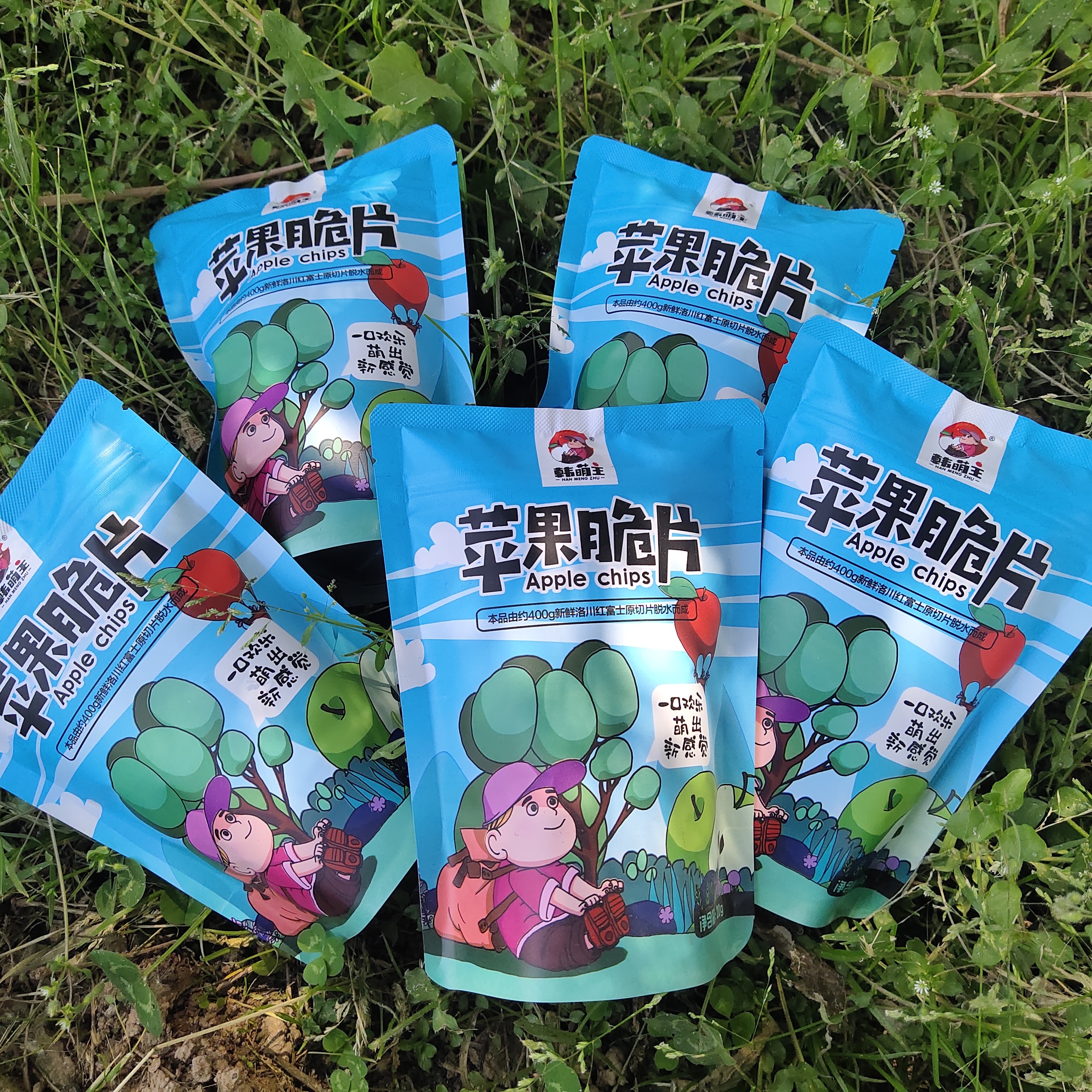 洛川苹果干拍五发一(每袋20g)