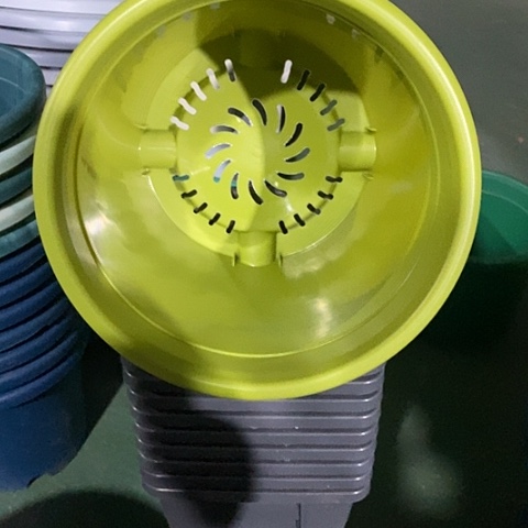 树脂特价4号无托果绿8个