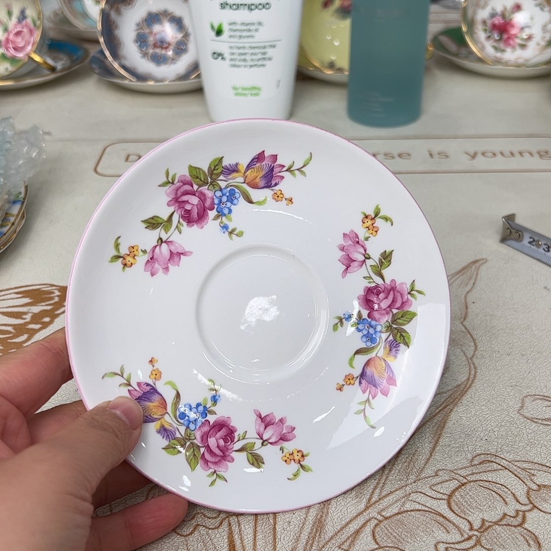 盘维多利亚欧洲中古