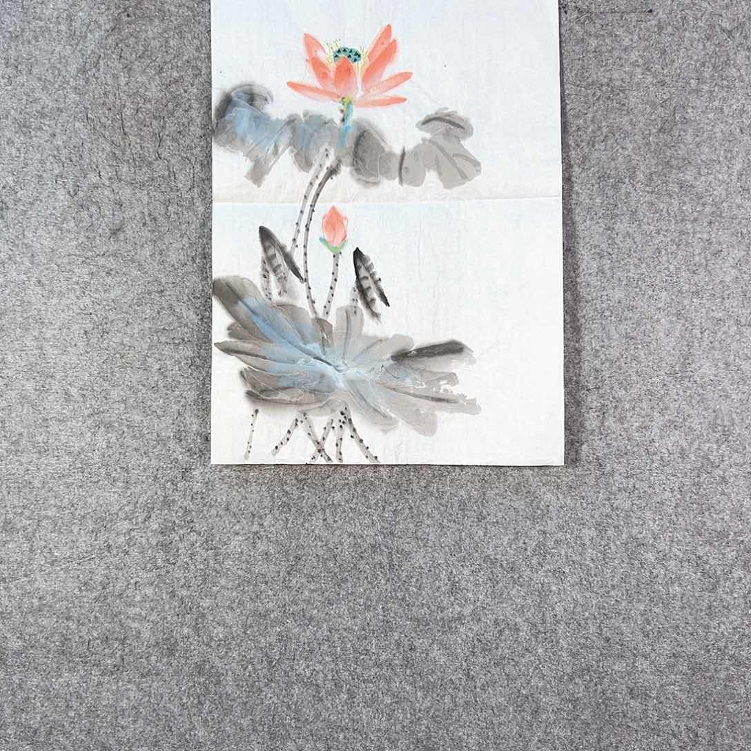 国画187 花鸟等各种花卉品种