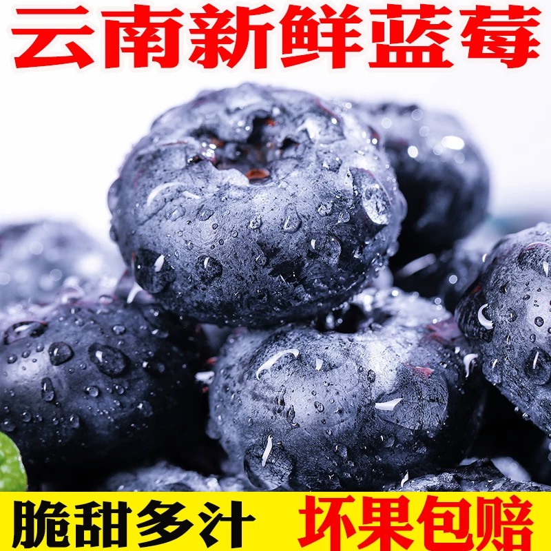 X 次日达【推荐卖一斤送半斤】云南花香蓝莓高山蓝莓脆香甜新鲜水果20mm-16mm云南省