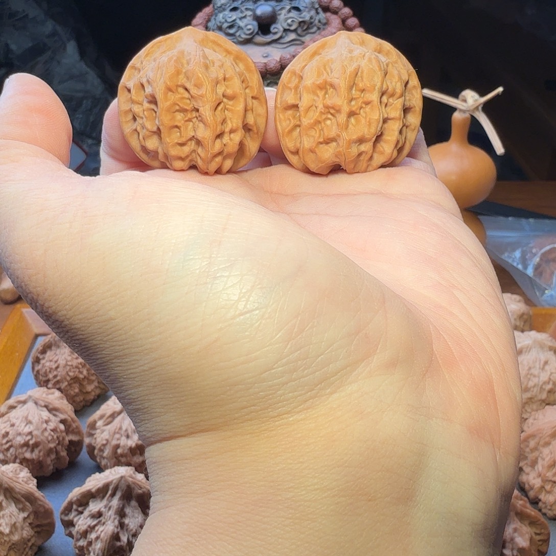 把件文玩核桃37尺寸老树磐石