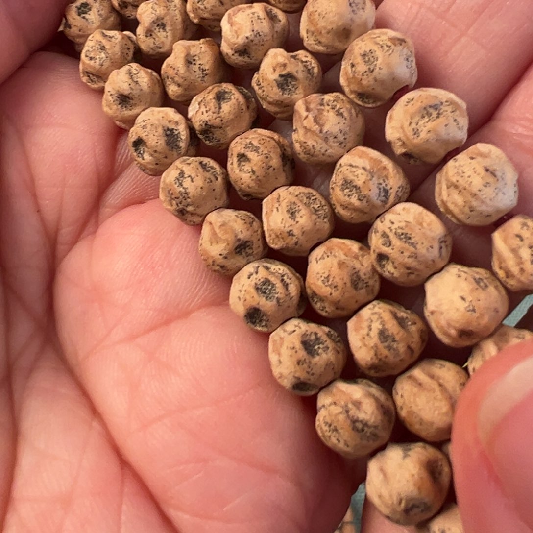 a***-吊坠柏香籽/百香籽F953