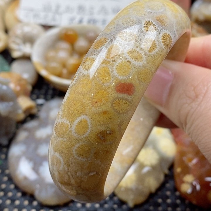 硅化珊瑚（珊瑚玉）颈饰未镶嵌53