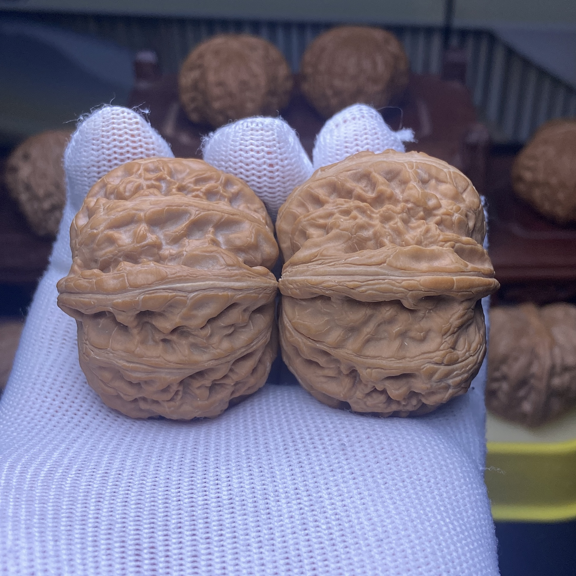 45全品平谷元宝狮子头