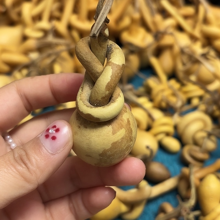 5***0一把葫芦便宜漏了