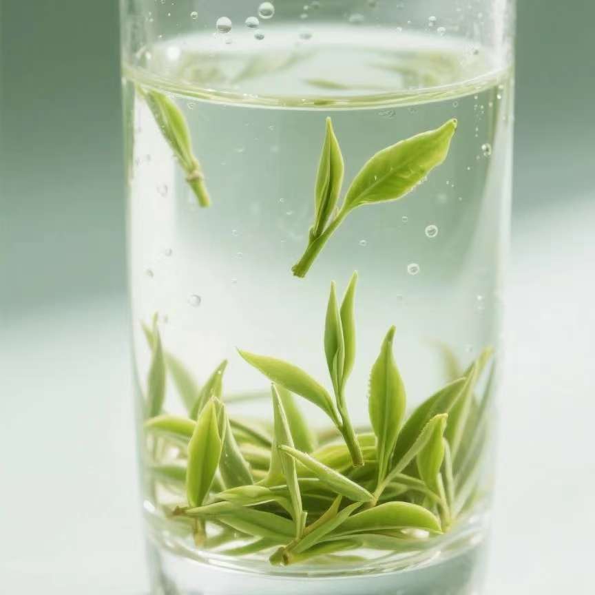信阳特产大山旱种野山茶口粮实惠茶叶100g