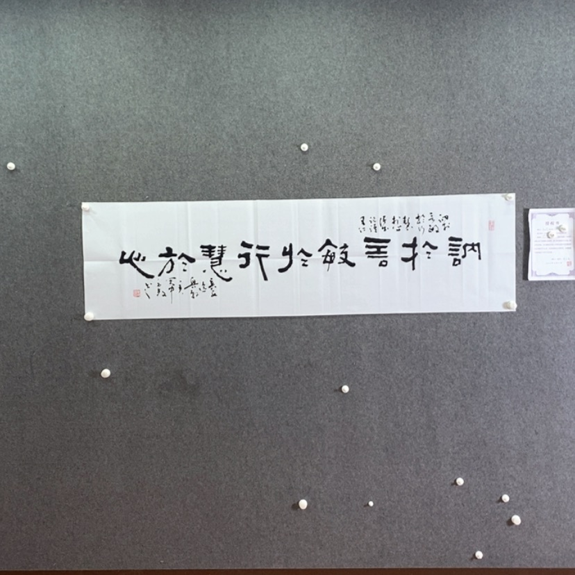 【闪购商品】书法书法书法作品欣赏，