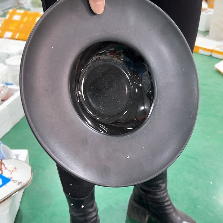 新骨瓷10英寸1只装