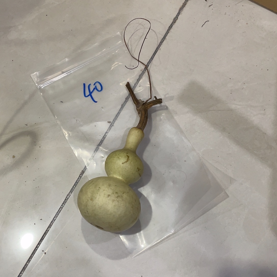 安***子唱歌好好保护你会不会结局
