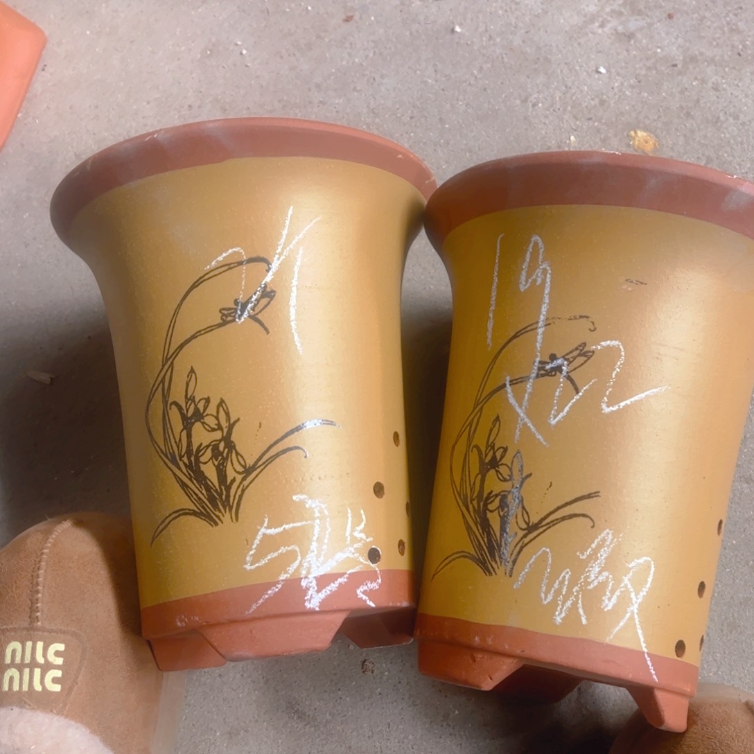 紫砂52……………………………………