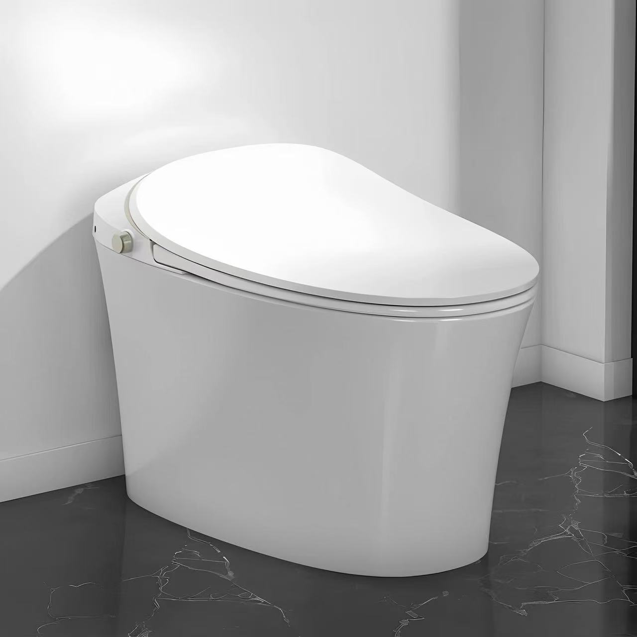 R&T/瑞尔特瑞尔特C2硅藻纯除臭等离子杀菌脚感冲水全智能马桶