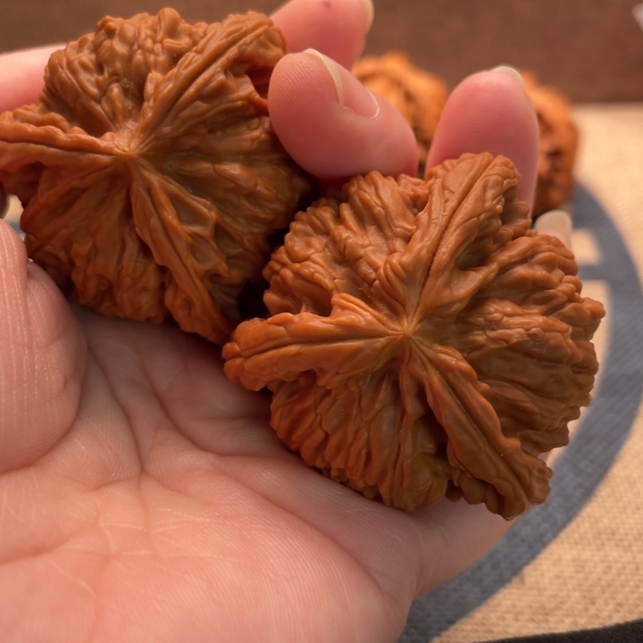 大***鱼核桃白狮子45核桃