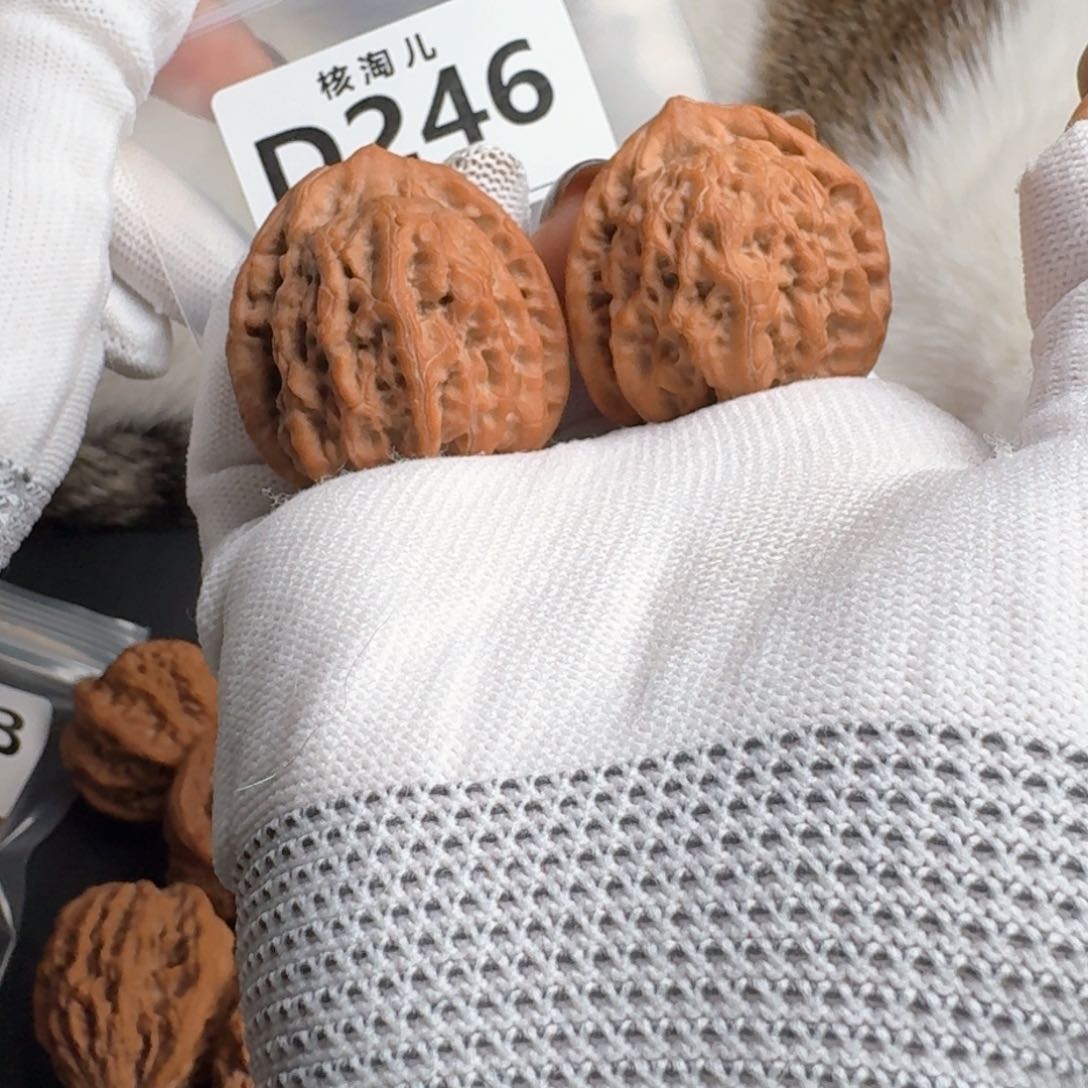 把件文玩核桃37佛肚246