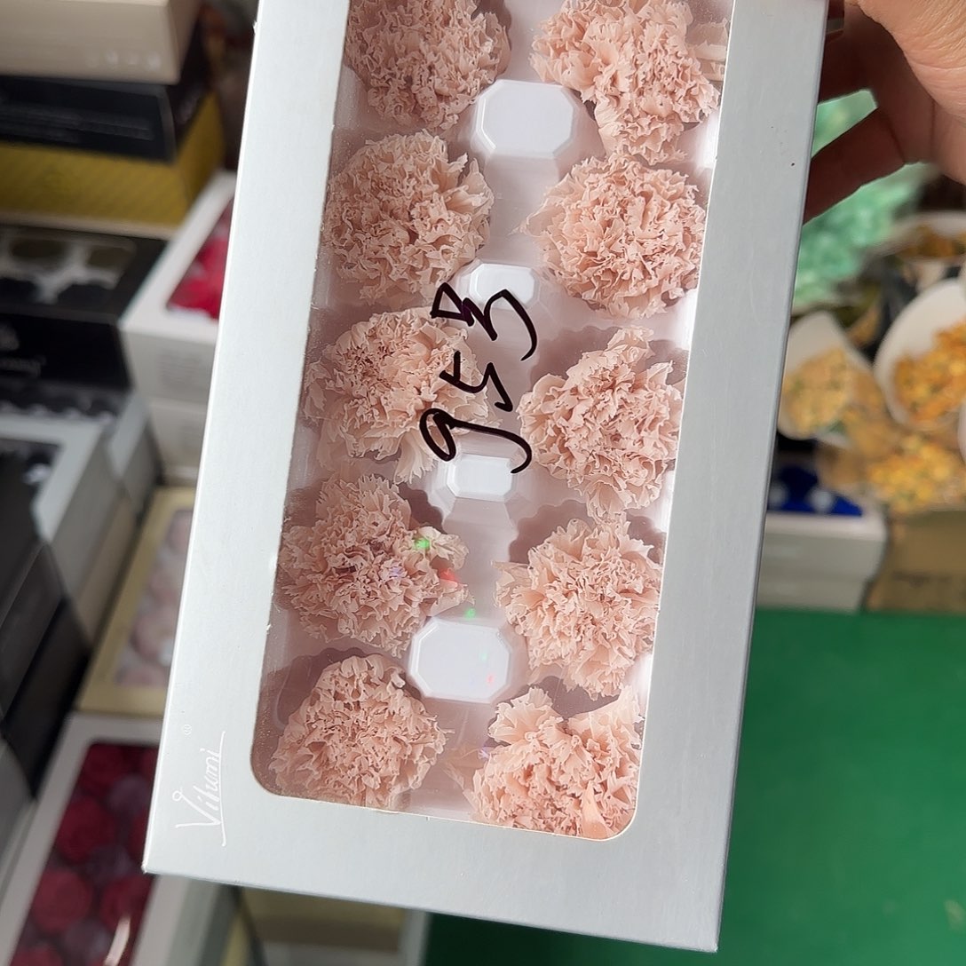 G5号10朵康乃馨卡其色