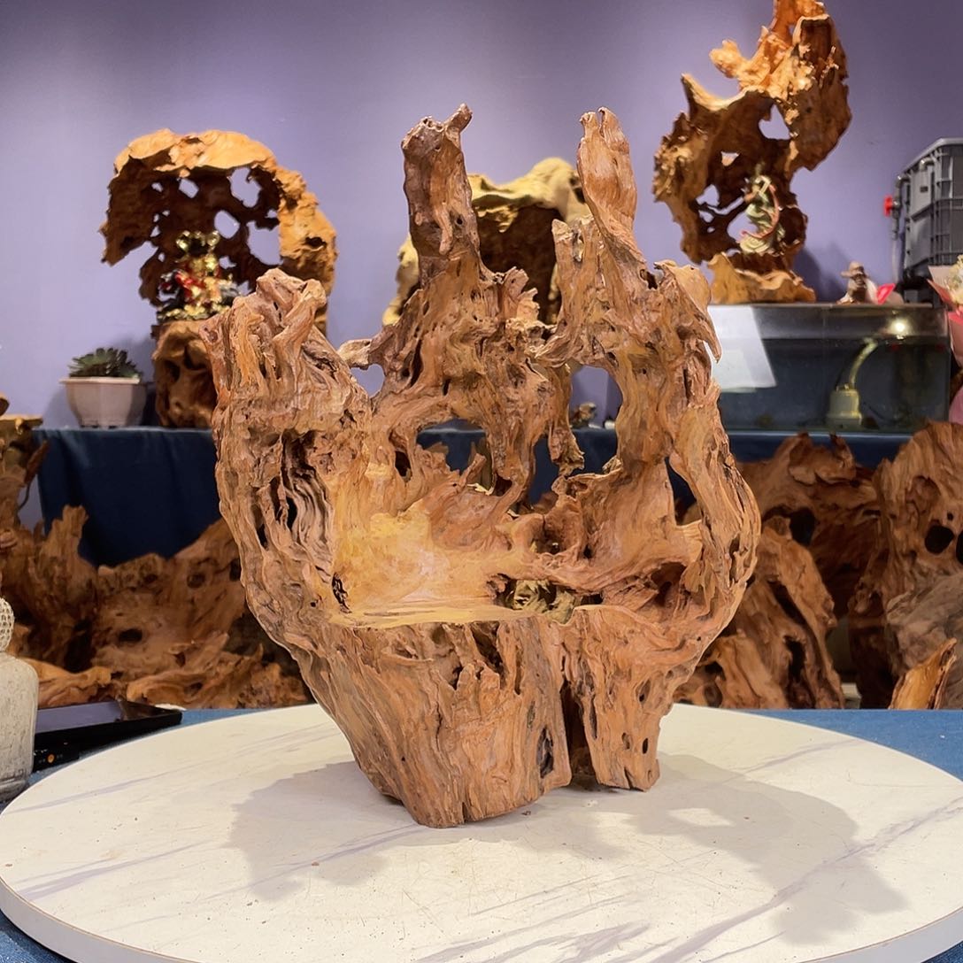 香榧木行**疆12345577654