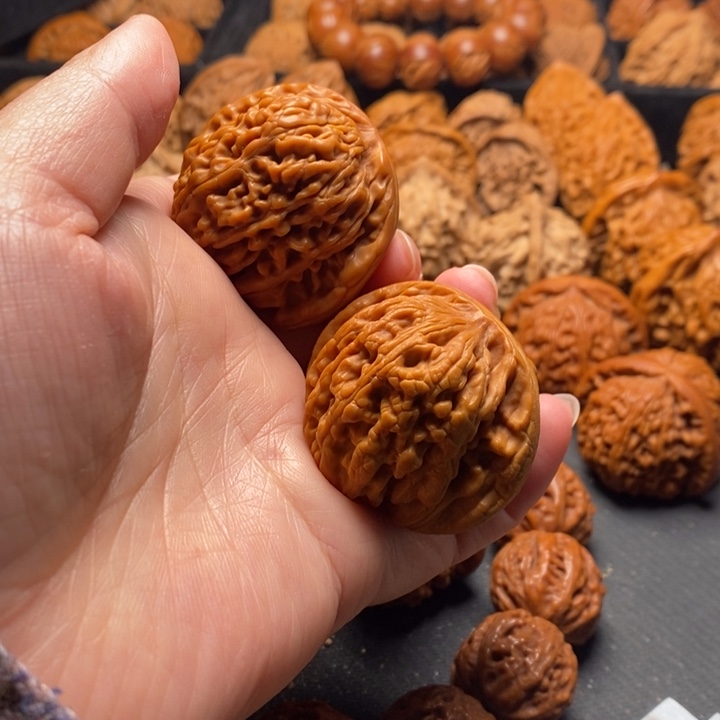 秦岭野生111111111111