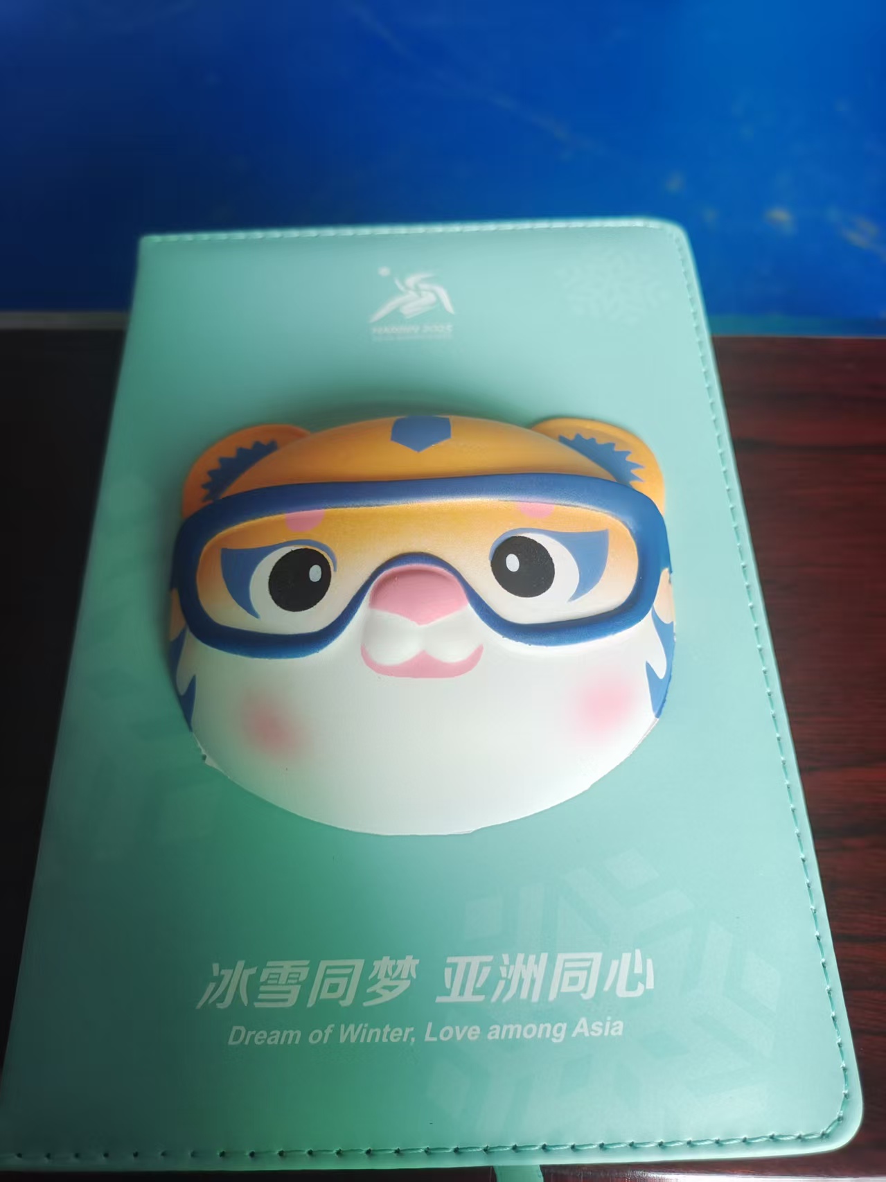 亚冬会滨滨款解压本