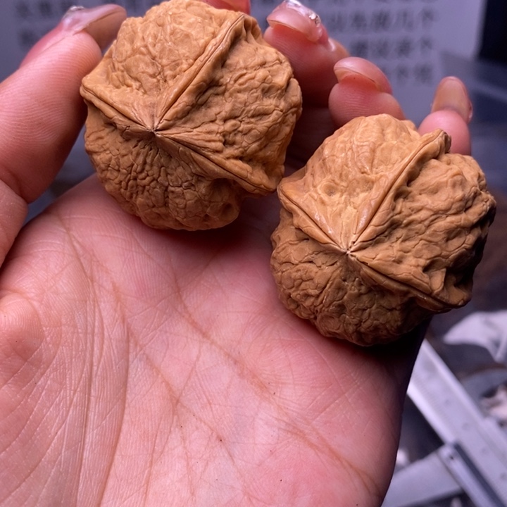 核桃云南野生铁核桃31号37mm