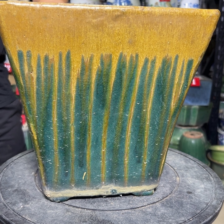 •***•我们的生活是充满阳光