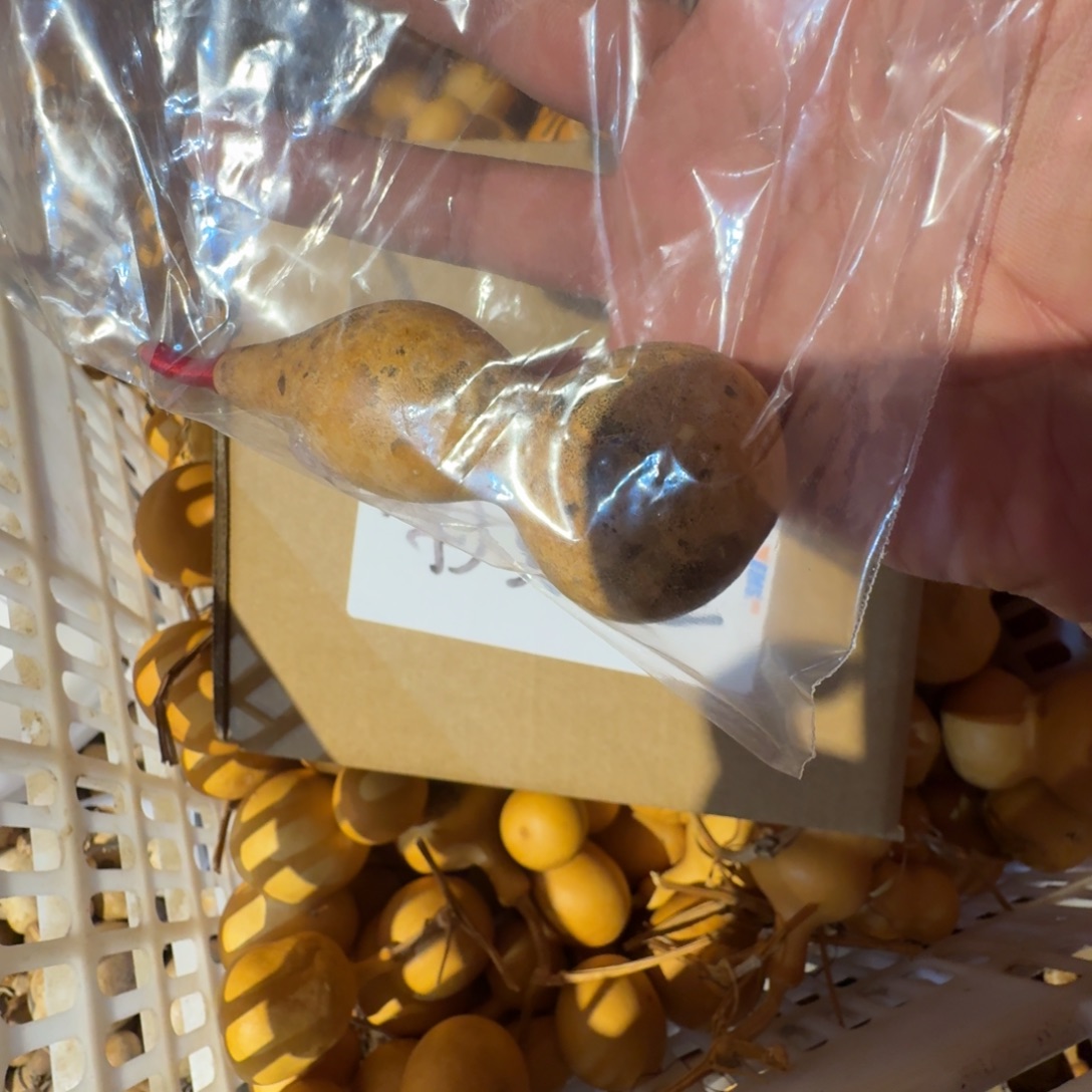 那***虹嘎嘎嘎嘎嘎嘎嘎嘎嘎嘎